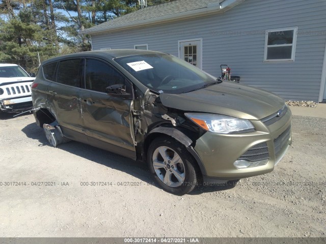 Ford Escape (2014)