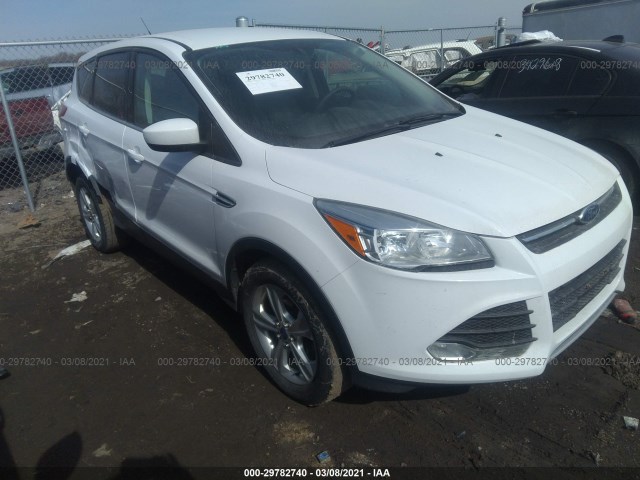 Ford Escape (2014)