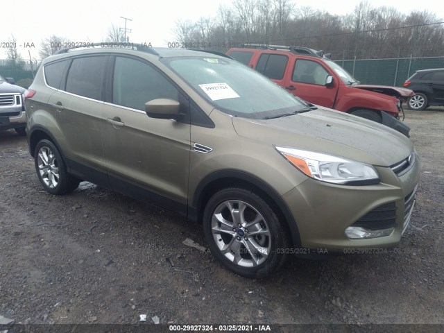 Ford Escape (2014)