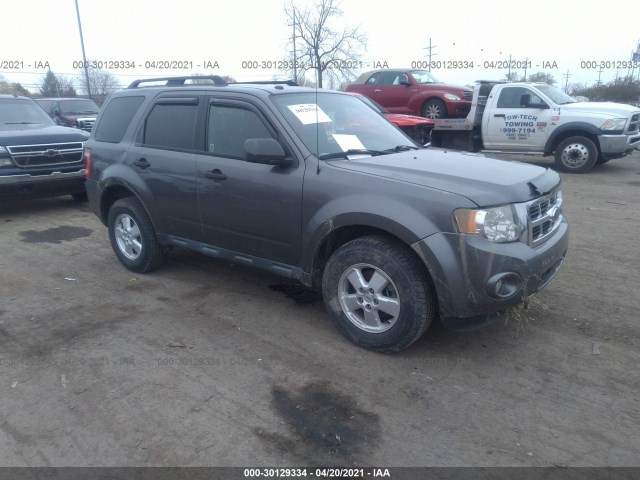 Ford Escape (2010)