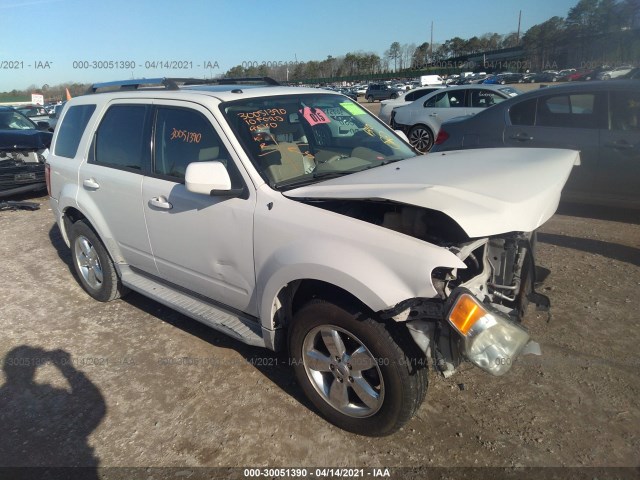 Ford Escape (2010)