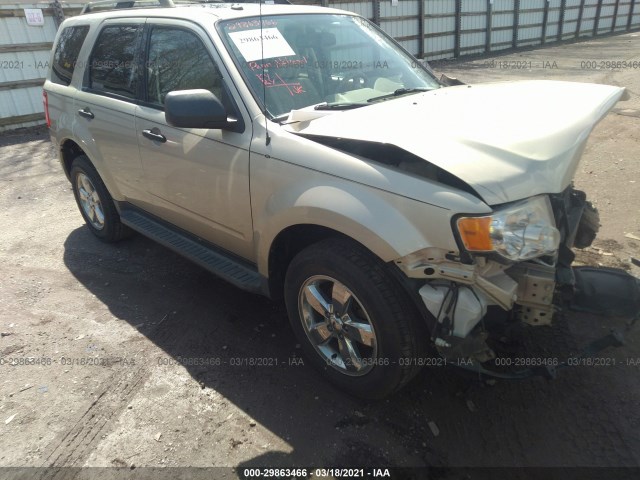 Ford Escape (2011)