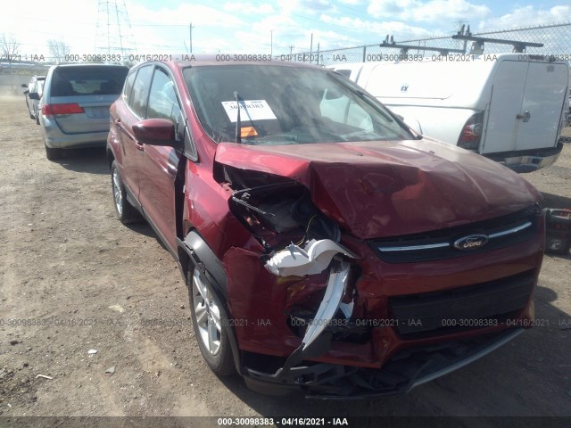 Ford Escape (2014)