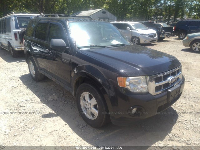 Ford Escape (2010)