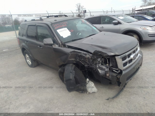 Ford Escape (2011)