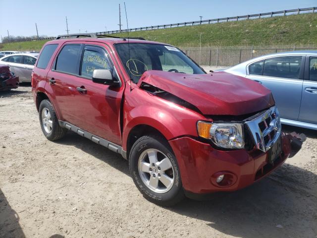 Ford Escape (2011)