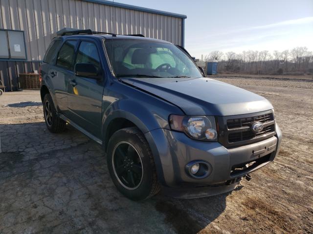 Ford Escape xlt (2011)