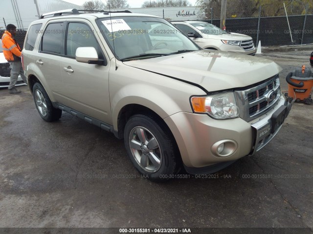 Ford Escape (2012)