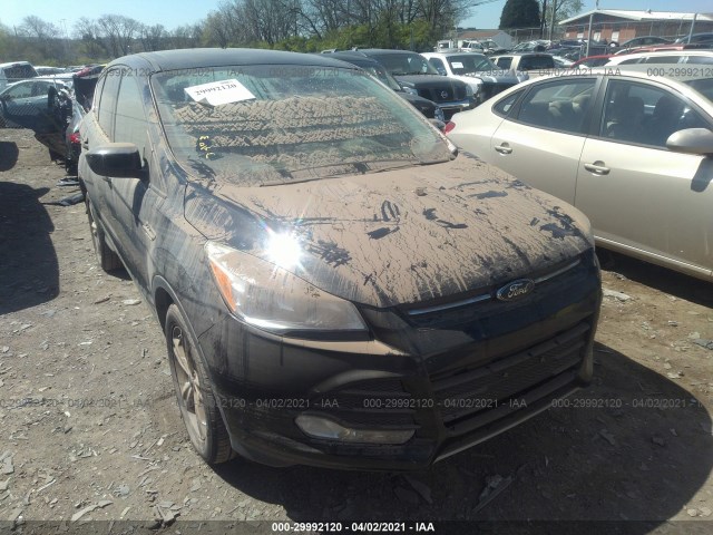 Ford Escape (2014)