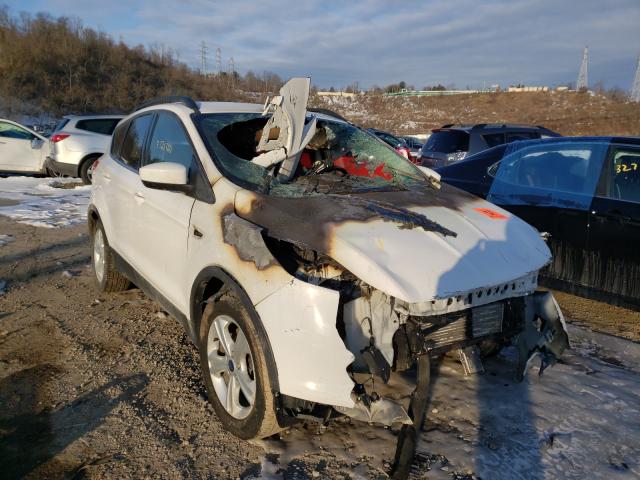 Ford Escape se (2014)