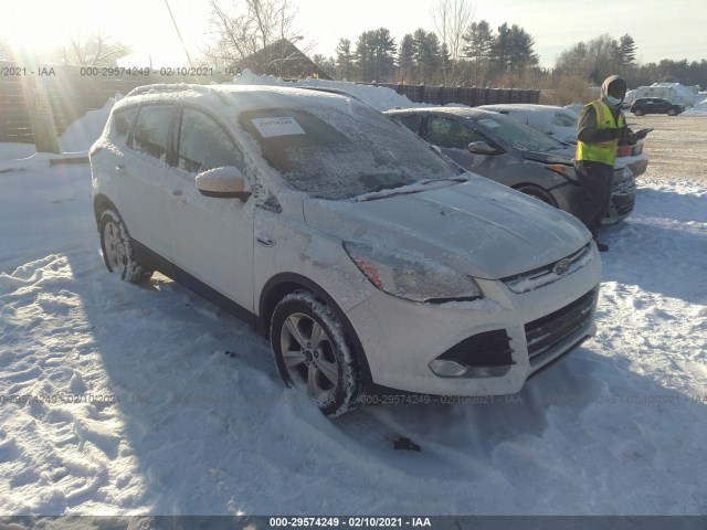 Ford Escape (2015)
