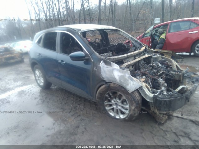 Ford Escape (2020)