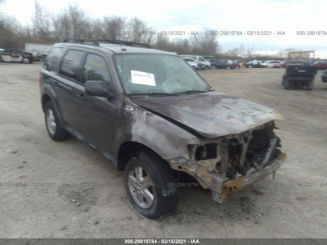 Ford Escape (2010)
