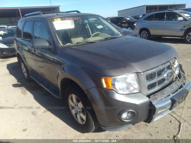 Ford Escape (2010)