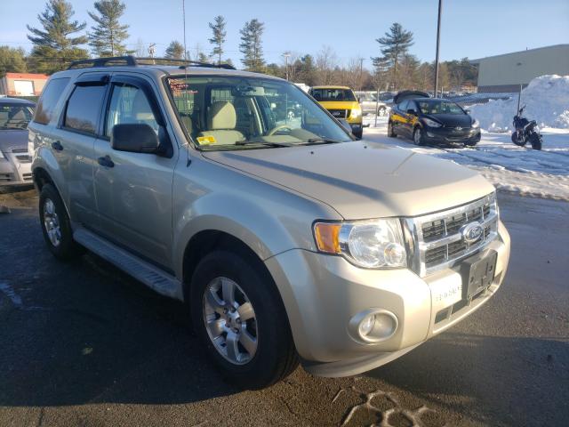 Ford Escape xlt (2010)