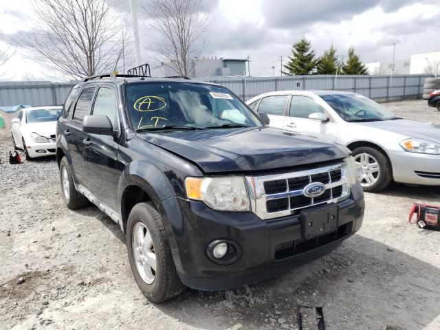 Ford Escape xlt (2010)