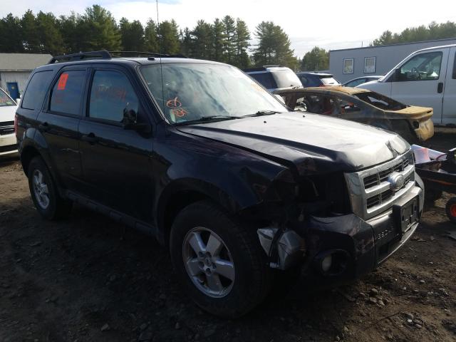 Ford Escape xlt (2010)