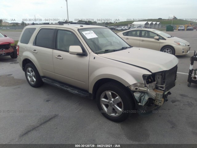 Ford Escape (2011)