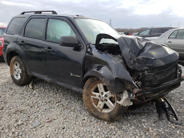 Ford Escape hyb (2011)
