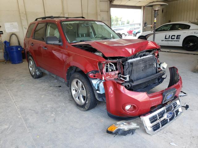 Ford Escape xlt (2011)