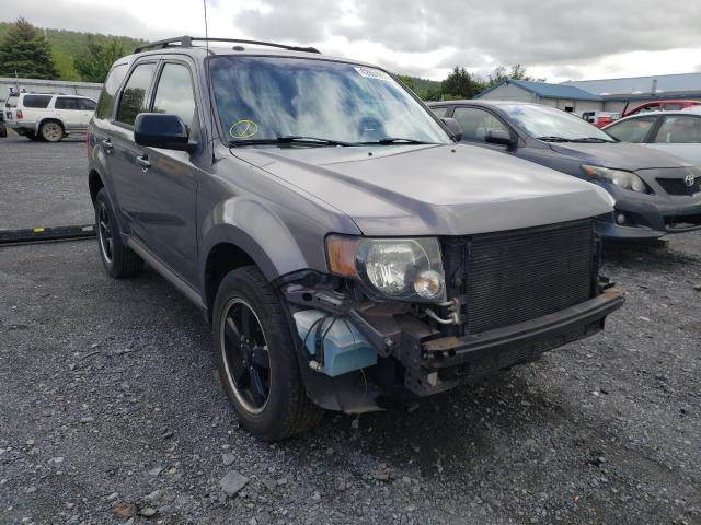 Ford Escape xlt (2011)