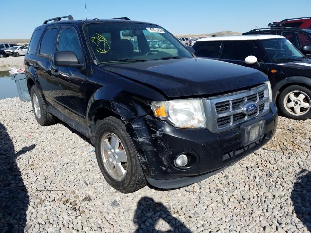 Ford Escape xlt (2011)