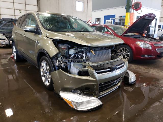 Ford Escape sel (2013)