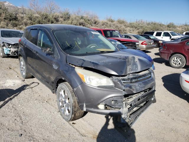 Ford Escape sel (2013)