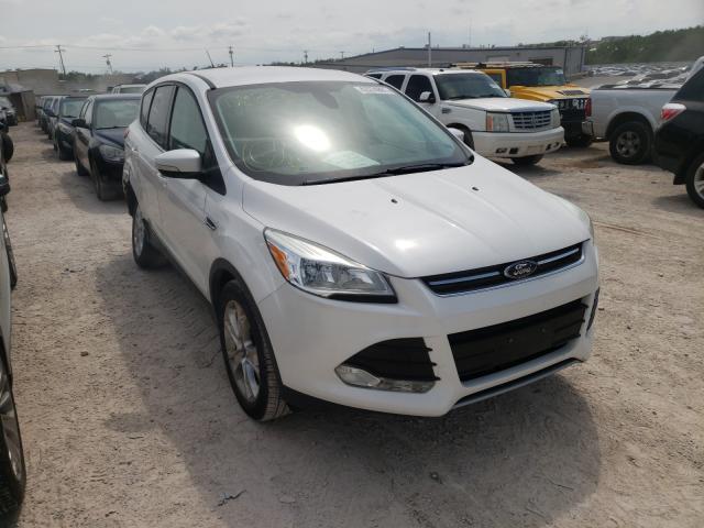 Ford Escape sel (2013)