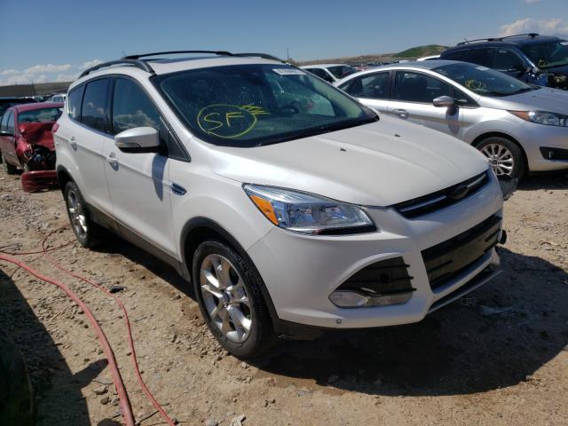 Ford Escape sel (2013)