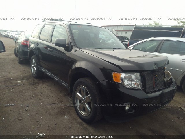 Ford Escape (2011)