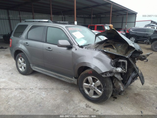 Ford Escape (2011)