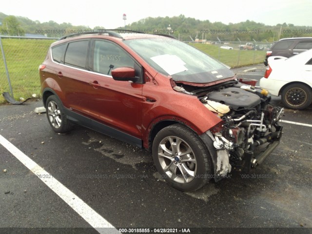 Ford Escape (2014)