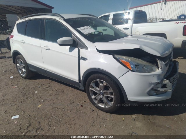 Ford Escape (2014)
