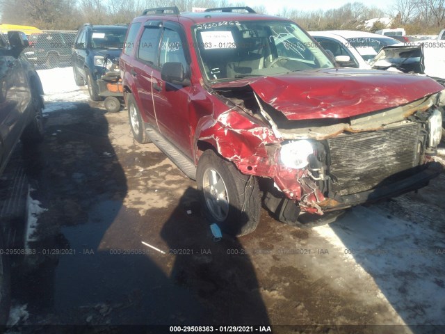 Ford Escape (2010)