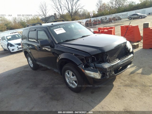 Ford Escape (2010)