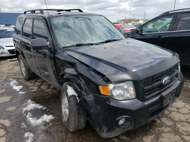 Ford Escape xlt (2010)