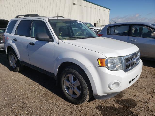 Ford Escape xlt (2010)