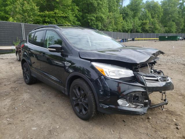 Ford Escape sel (2013)