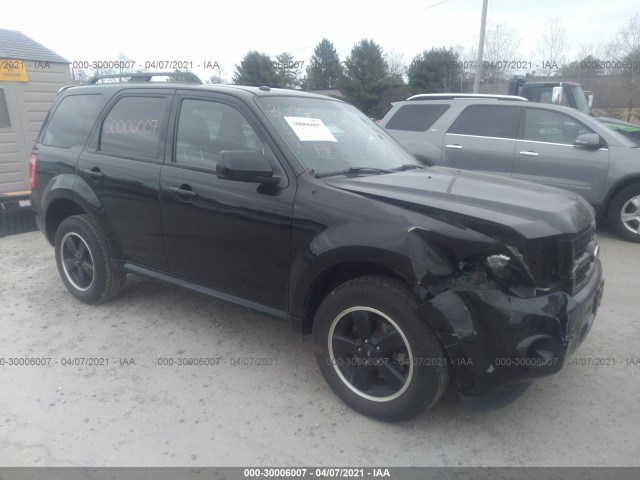 Ford Escape (2010)