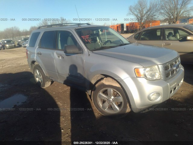 Ford Escape (2010)