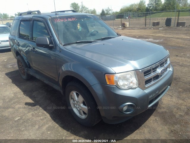 Ford Escape (2010)