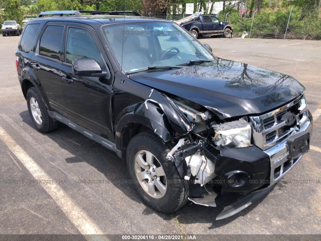 Ford Escape (2010)