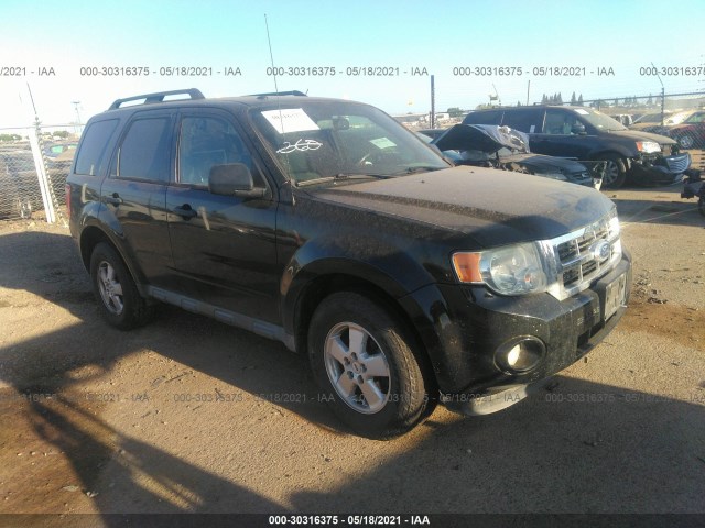 Ford Escape (2011)