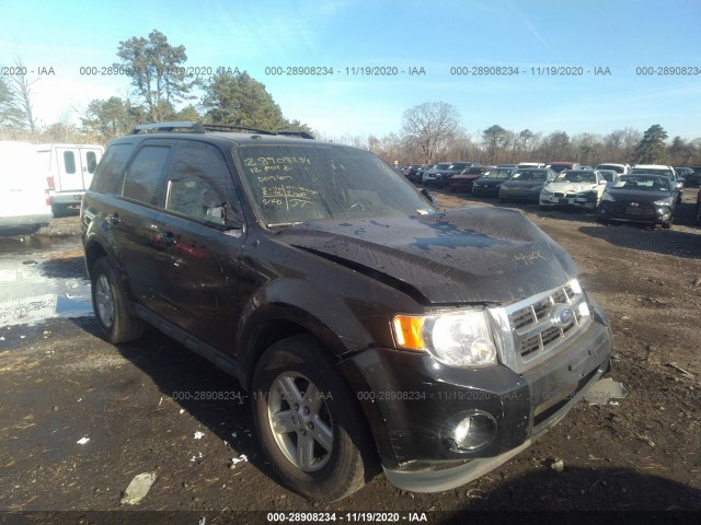Ford Escape (2012)