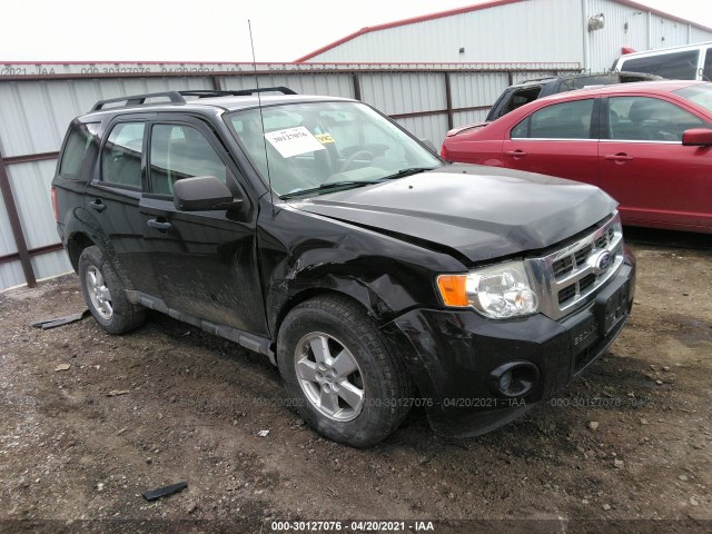 Ford Escape (2010)