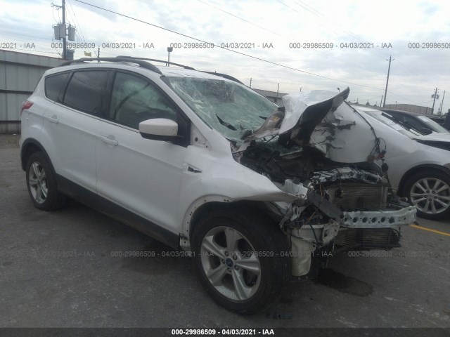 Ford Escape (2014)