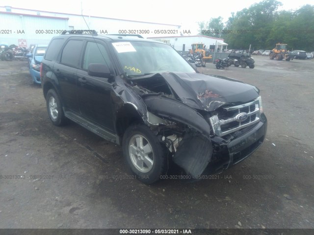 Ford Escape (2010)