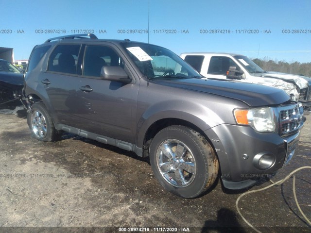 Ford Escape (2010)