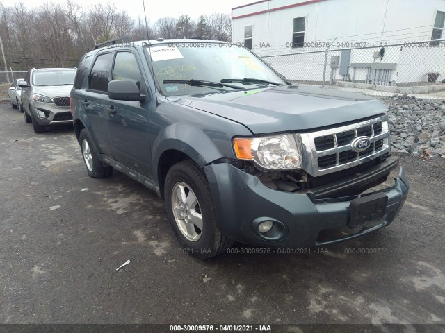 Ford Escape (2010)
